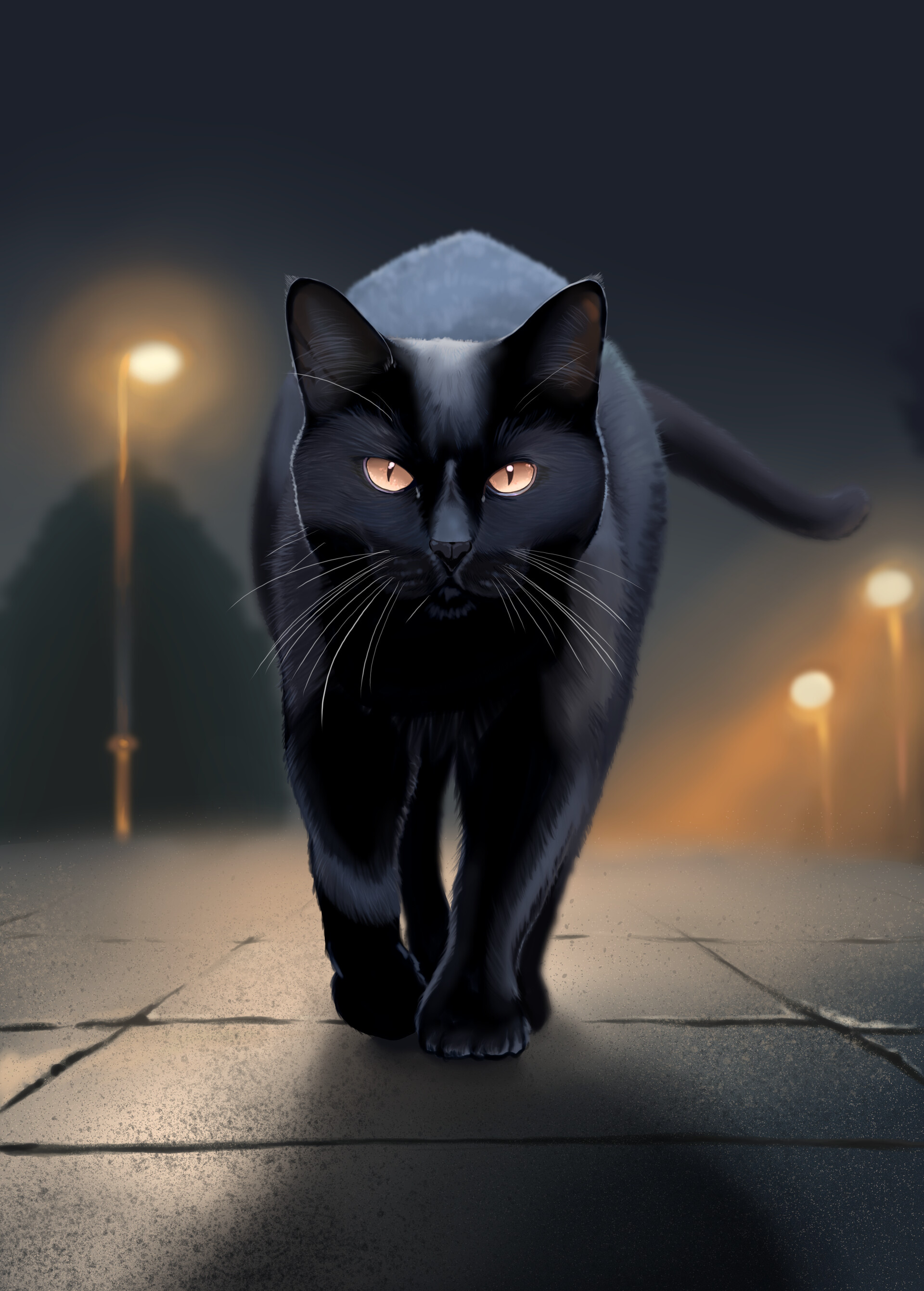 Cat at Night